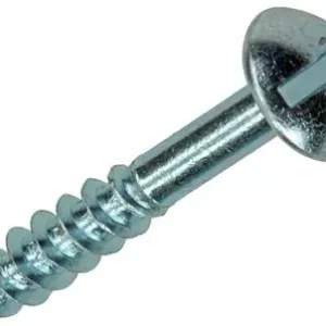 1017379 - HOUTSCHROEF BOLKOP STAAL VERZINKT 10 ST 5,0 X 30 MM