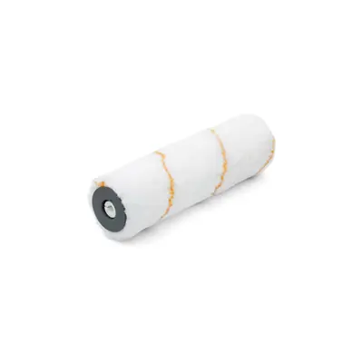 1069803 - ANZA I&C ROLLER NOLOSS 25CM X6