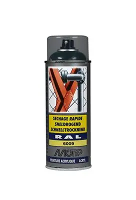 1051701 - IND. RAL 6009 DENNEN GROEN SPUITBUS 400 ML