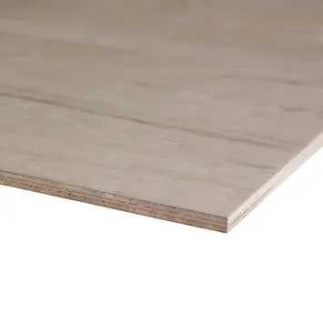 Multiplex plaat hardhout exterieur 244 x 122 cm 12 mm verlijmd