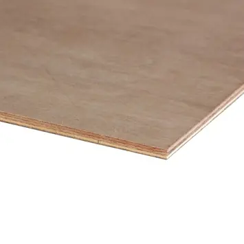 Multiplex plaat hardhout exterieur 122 x 61 cm 9 mm verlijmd