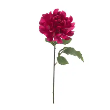 Dahlia spray beauty 63cm