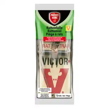 Protect Home rattenval hout