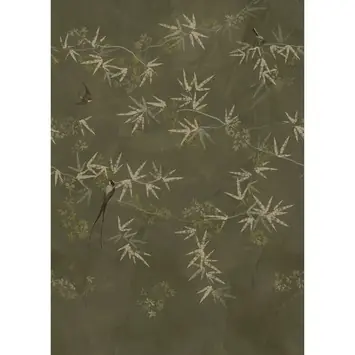 Fotobehang birds of paradise (dessin 107342)