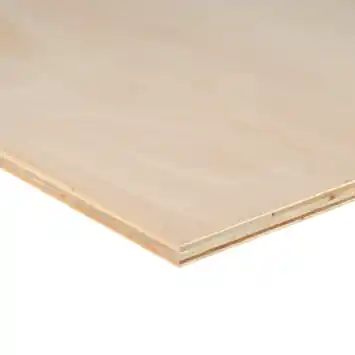 Multiplex plaat hardhout voor binnen 122 x 61 cm 15 mm