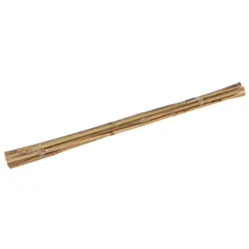 Talen Tools bamboestokken 60 cm / Ø 6-8 mm (10 stuks)