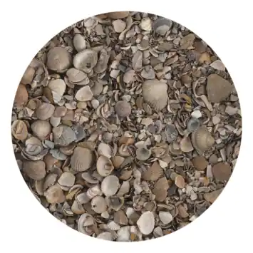 Stonewish Schelpen 8-16 mm - zak 15 kg