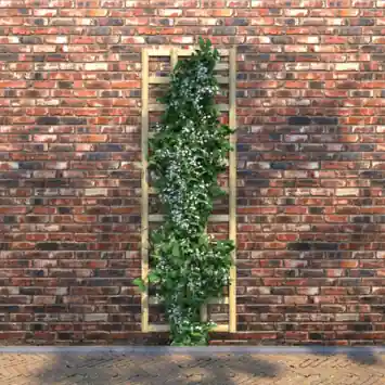 Trellisscherm grenen hout 180 x 60 cm