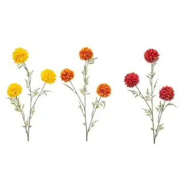 Tagetes spray mix 80cm