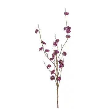 Callicarpa spray paars 97cm