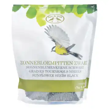 ZONNENBLOEMPITTEN 1 KG