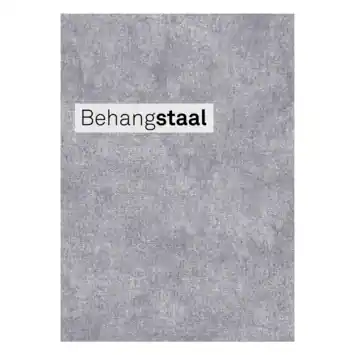 Behangstaal vliesbehang beton grijs (dessin 103480)