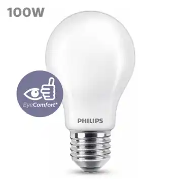Philips LED peer E27 100W mat niet dimbaar