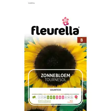 Fleurella zaden zonnebloem giganteus
