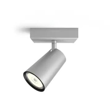 Philips opbouwspot Paisley aluminium