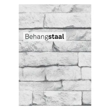 Behangstaal vliesbehang odysee wit (dessin 101343)